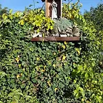 Bed & Breakfast Granit