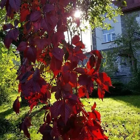 Granit 3* Krościenko