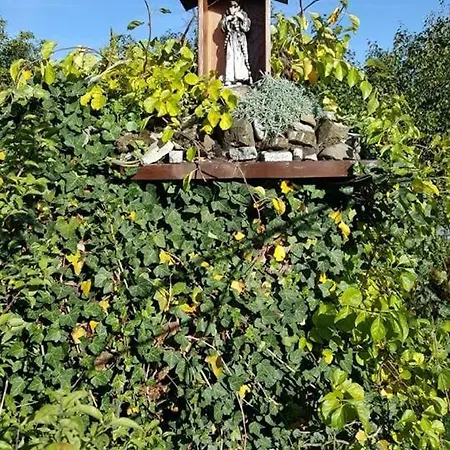 Bed & Breakfast Granit