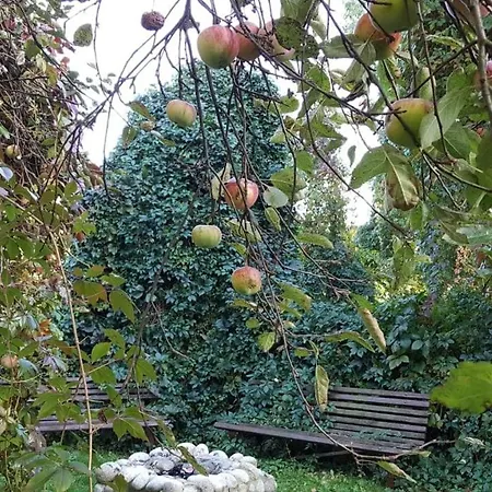 Granit 3* クロシチェンコ