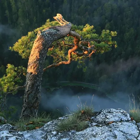 Granit Krościenko