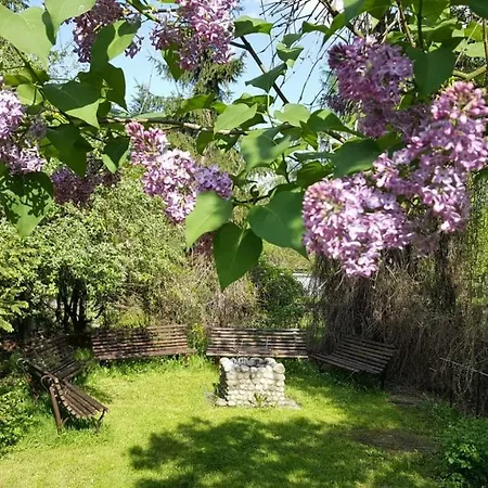 Bed & Breakfast Granit