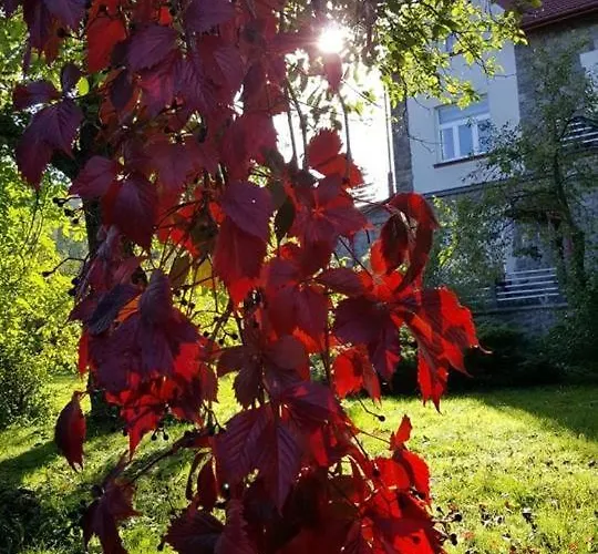 Granit 3* Krościenko