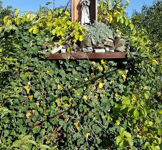 Oda ve Kahvaltı Granit