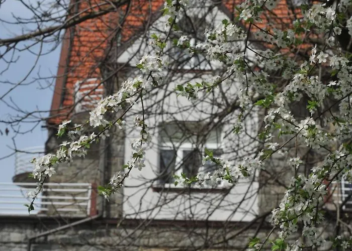 Granit Oda ve Kahvaltı Krościenko