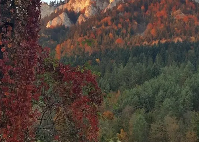 Oda ve Kahvaltı Granit 3*