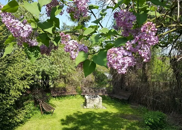 Oda ve Kahvaltı Granit